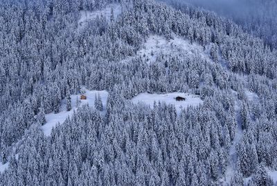 Aerial view of snow covered land