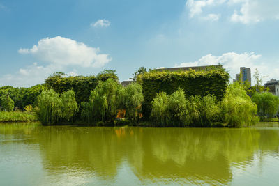 Scenic view of lake by trees against sky