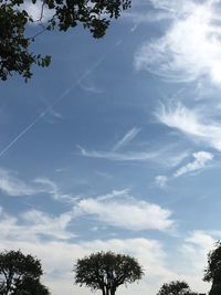 Low angle view of trees against blue sky