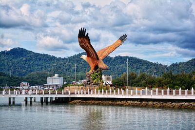 Bird flying over lake against sky