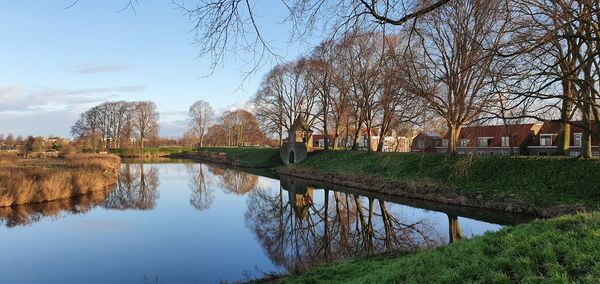 Reflection of bare trees and buildings in lake