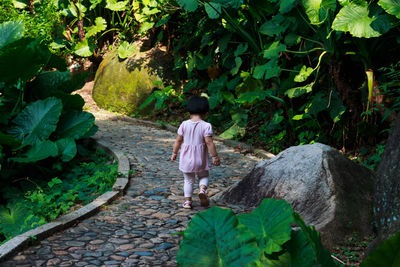 Rear view of girl walking on footpath amidst plants in garden