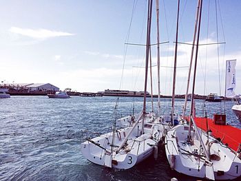 Boats in harbor