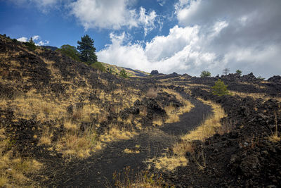 Panoramic view of landscape against sky