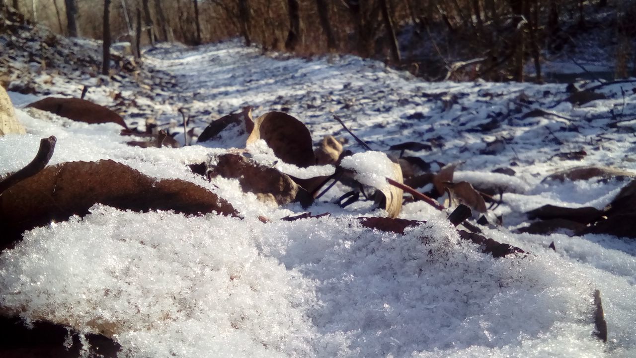 snow, winter, cold temperature, water, nature, season, forest, tree, frozen, tranquility, beauty in nature, tranquil scene, scenics, weather, river, flowing water, stream, covering, non-urban scene, white color