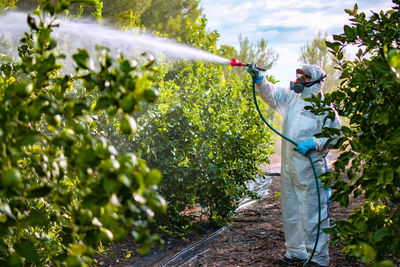 Man working on plants