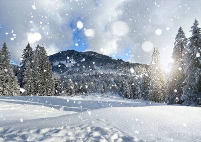 Winter landscape with mountains, snow and forest