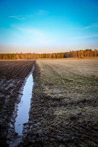 Surface level of road amidst field against sky