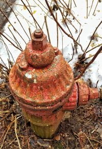 Old rusty door