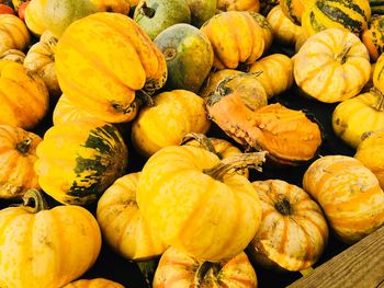 Full frame shot of pumpkins for sale at market stall