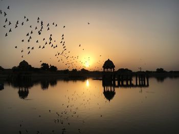 Flock of silhouette birds flying over lake against sky during sunset