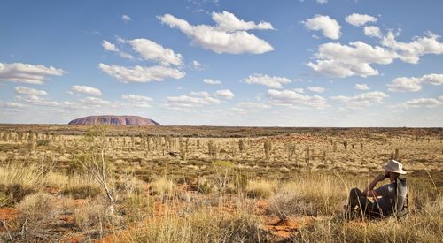 Sheep grazing on field