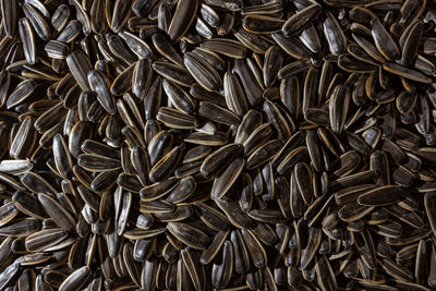 sunflower seed