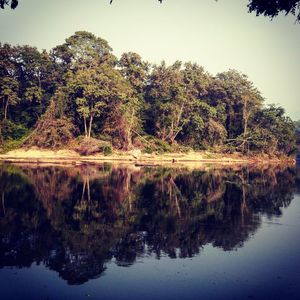 Reflection of trees in lake against sky