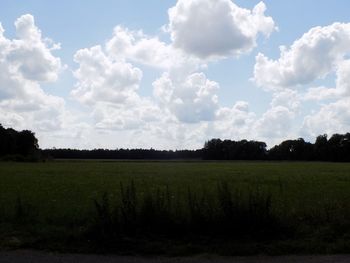 Scenic view of field against sky