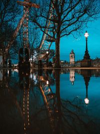 Reflection of trees in water