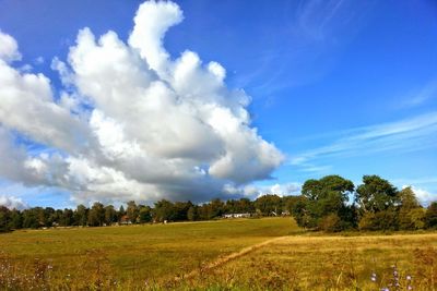 Scenic view of grassy field against cloudy sky