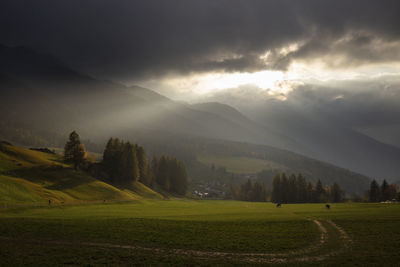 Scenic view of field against sky