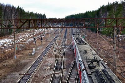 High angle view of railroad amongst tall pine trees in winter