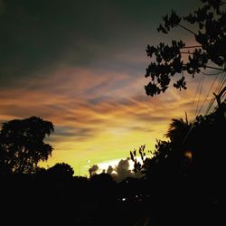 Low angle view of silhouette trees against sky during sunset