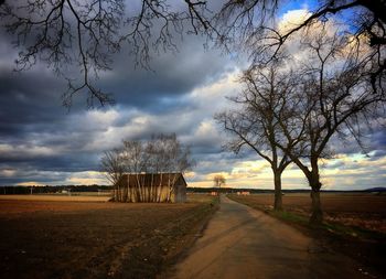 Road amidst bare trees on field against sky