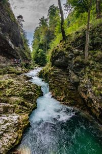 Stream flowing through rocks in forest
