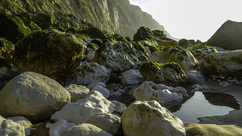 Scenic view of beach against sky
