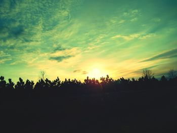 Silhouette trees on landscape against sky at sunset