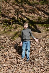 Portrait of girl standing on tree