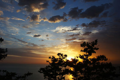 Silhouette trees against sky during sunset