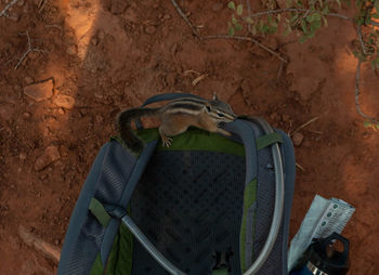 Close-up of camera on land