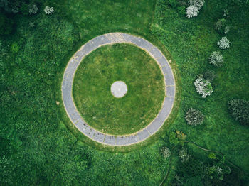 High angle view of golf course on tree