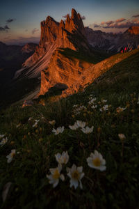 Seceda, dolomites - panoramic view of mountains