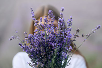 Close-up of purple flowering plant