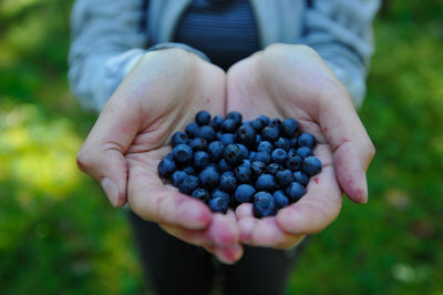 Close-up of hands holding blueberries 