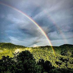 Rainbow over field