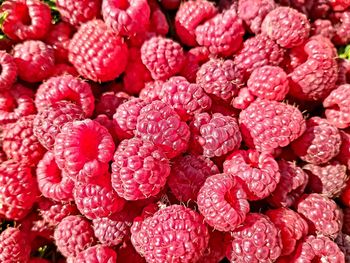 Full frame shot of vegetables