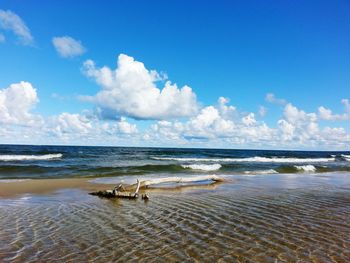 View of driftwood on beach against cloudy sky