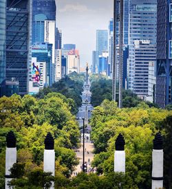 Trees and modern buildings in city against sky