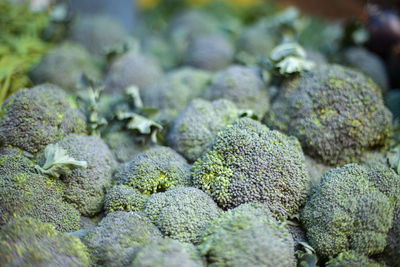 Close-up of vegetables