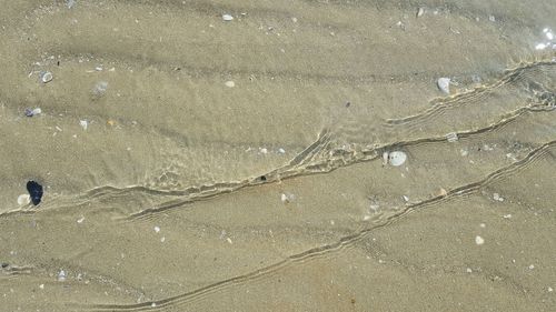 Sand on beach