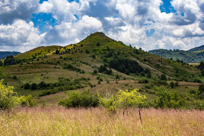 Scenic view of field against sky