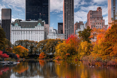 Trees by lake against buildings in city during autumn