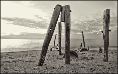 View of wooden posts on beach