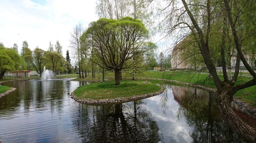Reflection of trees in pond