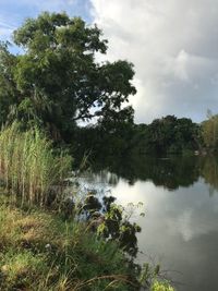Scenic view of lake amidst trees against sky
