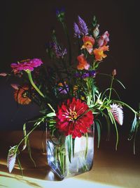 Close-up of multi colored flowers