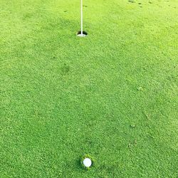 High angle view of golf ball on field