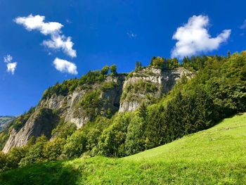 Scenic view of trees and mountains against sky