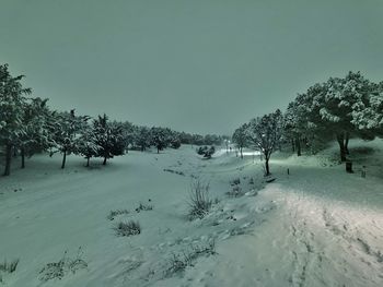 Trees on snow covered field against sky